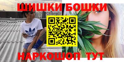 гидропоника Новокубанск