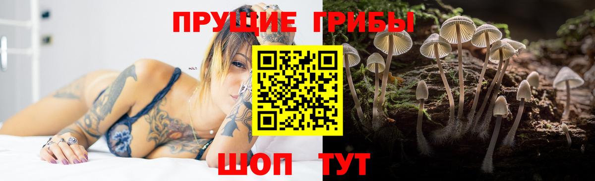Псилоцибиновые грибы прущие грибы Сатка