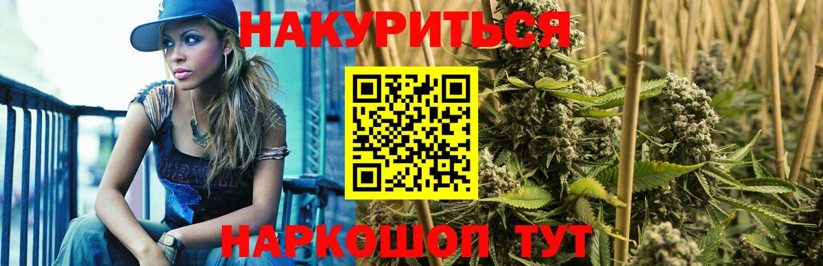 Канабис планчик Сатка